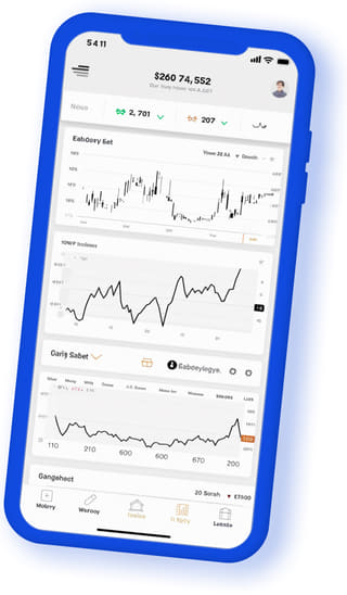 Brio Capitorio digital web application on mobile device